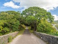 Old bridge way in Killarney national park in Ireland Royalty Free Stock Photo