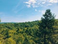 Summer scenic view from the Mattatuck Trail Royalty Free Stock Photo