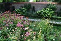 Cottage summer perennials garden in Schlosshof Austria professionally planted with groups of perennials