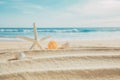 Summer sea background concept, White starfish, scallops, and spiny shells, rest on the white sand beach, near the beautiful sea, Royalty Free Stock Photo