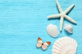 Summer sea background - shells, star on a wooden blue background Royalty Free Stock Photo