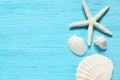 Summer sea background - shells, star on a wooden blue background Royalty Free Stock Photo