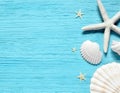 Summer sea background - shells, star on a wooden blue background Royalty Free Stock Photo