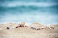 Summer sea and beach scenery with starfish, conch and shells on the beach sand and waves Royalty Free Stock Photo