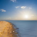 summer sea beach with seagulls at the sunset Royalty Free Stock Photo