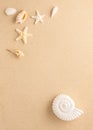 Summer sea concept. Ammonite, starfishes and snail shell on sand. Top view. Copy space Royalty Free Stock Photo