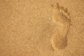 Summer sea, human footprint on the sand directly above, close up Royalty Free Stock Photo