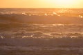 Summer sea surf splashing wave with sunlight
