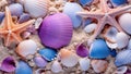 Summer sea tropical nature seashell beach shell