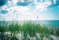 Summer sea. A view from the sandhill Royalty Free Stock Photo