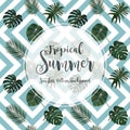 Summer Seamless Pattern Background Royalty Free Stock Photo