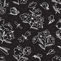 Summer seamless pattern with blossoming plants and flying insects around. Flowers and butterlies Royalty Free Stock Photo