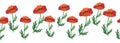 Summer seamless pattern with bright red poppy flowers and poppy pods. Garland, flower border Royalty Free Stock Photo