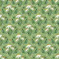 Summer seamless pattern with daisy flowers on green background Royalty Free Stock Photo