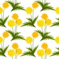 Summer seamless pattern of dandelion flowers with leaves Royalty Free Stock Photo