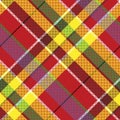 Summer seamless pattern madras check fabric texture