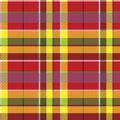 Summer seamless pattern madras check fabric texture