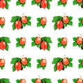 Summer seamless pattern with realistic green gooseberry on white background