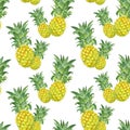 Summer seamless pattern with tropical pineapple fruits. Watercolour tropical hawaiian print