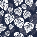 Summer seamless pattern with white monstera palm leaves on blue background Royalty Free Stock Photo