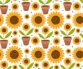Summer seamless pattern with yellow sunflower flowers. Village endless background, repeating texture. illustration.