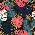 Summer seamless tropical pattern with colorful monstera palm leaves Royalty Free Stock Photo