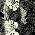 Summer seamless tropical pattern with monstera palm leaves and plants