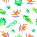 Summer seamless tropical pattern Strelitzia with exotic flower - bird of paradise. Endless texture for season spring and Royalty Free Stock Photo