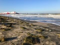 Summer seascape of Burgas beach in a stormy windy day. Black Sea landscape from Burgas, Bulgaria. Seaweeds on the beach