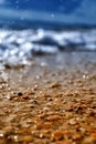 Summer seashell beach Royalty Free Stock Photo