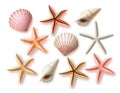 Summer seashells vector set. Beach sea shells collection and assorted aquatic objects Royalty Free Stock Photo