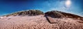 Summer seaside landscape with sand dunes. North sea coast Royalty Free Stock Photo