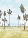 Summer season beach ocean view with clear blus sky palm and tree coconut