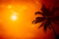 Summer season at the beach, silhouette palm tree with clear sunny sky