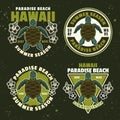 Summer season, hawaii paradise beach set of vector emblems, labels, badges or logos in colored style with sea turtle top