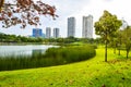 Summer season lake, trees And Green Grass at Desa park city Kuala Lumpur Malaysia.