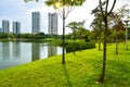 Summer season lake, trees And Green Grass at Desa park city Kuala Lumpur Malaysia.