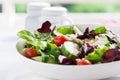 Summer season salad with salad leaves, tomatoes, cucumbers, Italian herbs and cheese in a bowl on a table Royalty Free Stock Photo