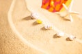 Summer Season, selective focus on seashells with starfish and spotty sandals or dotty flip-flop on sandy beach background