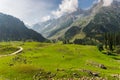 Summer season in Sonamarg including meadow, pine forest, and high mountains, Himalaya mountains range in India