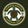 Summer season vector vintage emblem, label, badge or logo with sea turtle top view. Illustration in colorful cartoon Royalty Free Stock Photo