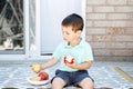 Summer seasonal food. Cute Caucasian preschool boy eating ripe red apple and fruits on backyard. Funny child kid with fresh fruits Royalty Free Stock Photo