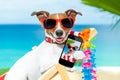 Summer selfie dog Royalty Free Stock Photo