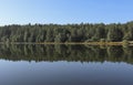 Summer serene symmetry and harmony landscape with green forest, woods reflection in lake water, clear sky horizon