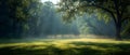 Summer Serenity: Misty Dawn on a Manicured Meadow. Concept Scenic Meadow, Morning Mist, Peaceful Royalty Free Stock Photo
