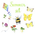 Summer set. Butterflies, bumblebee, rose, kite, strawberries Royalty Free Stock Photo