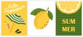 Hello summer. Set of cute vertical posters with tropical lemon