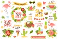 Summer set elements Tropical illustrations Flamingo, fruits, palm leaves, Summer clip art text quote Bright beach party Royalty Free Stock Photo