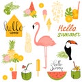 Summer set with flamingo,toucan and tropical plants. Vector il Royalty Free Stock Photo