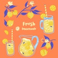 Summer set of lemonade and lemons. Vector image Royalty Free Stock Photo